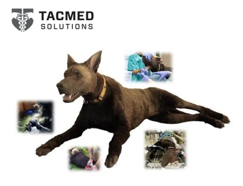 K9 Diesel – Canine Medical Trainer SOF News TacMed K9 Diesel Canine Medical Trainer